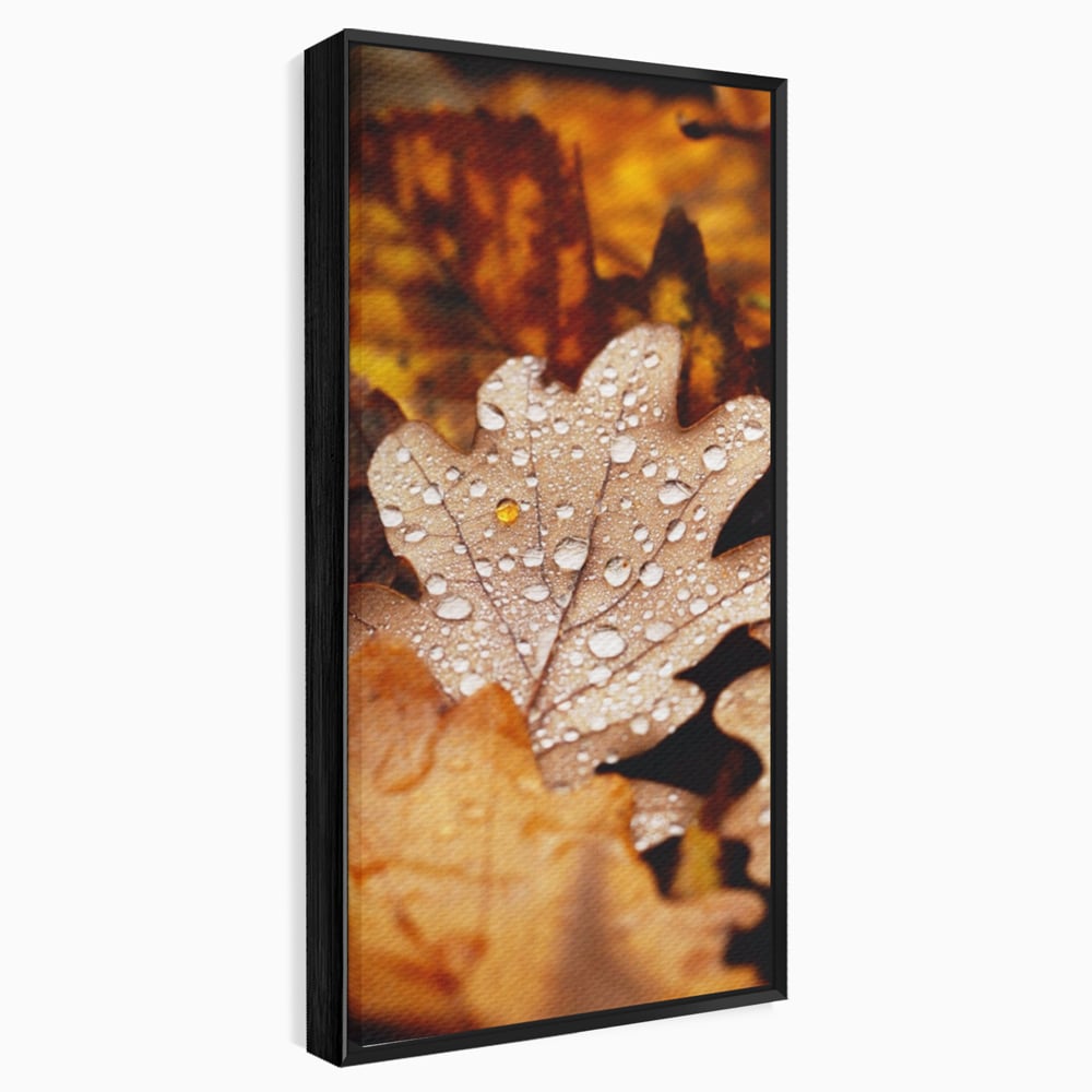 Tablou canvas cu frunza de stejar cu picaturi de roua, in rama de aluminiu negru